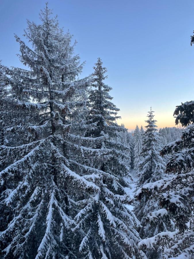 Woodside Apartment 431, Kopaonik - One Separate Bedroom 35M2- Free Parking & Spa المظهر الخارجي الصورة